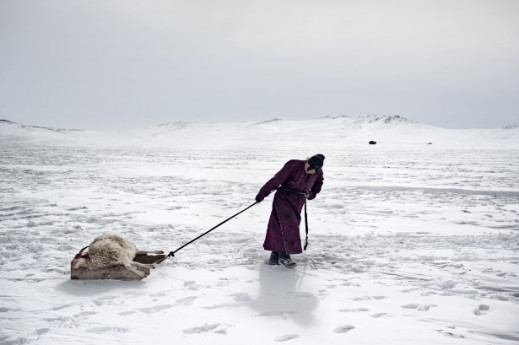 Mongolia Mongolia
