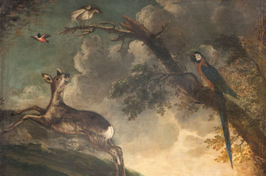 Il meraviglioso mondo della natura Il meraviglioso mondo della natura