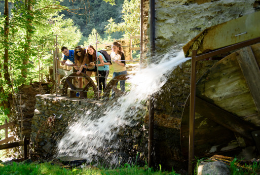 Giornate Fai di primavera Mulino Menaglio