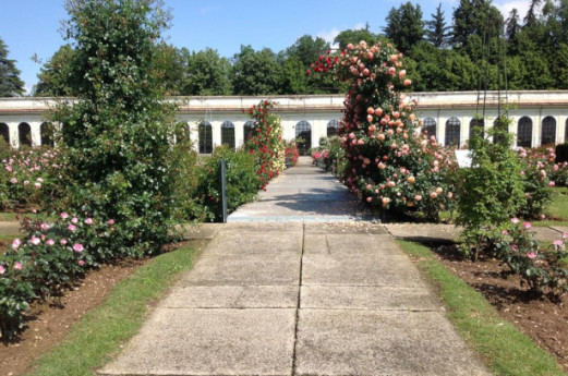 Orangerie roseto Orangerie roseto