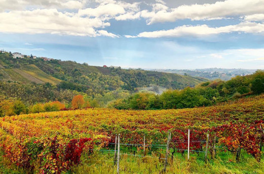 Scodellando nelle cantine del Buttafuoco Storico