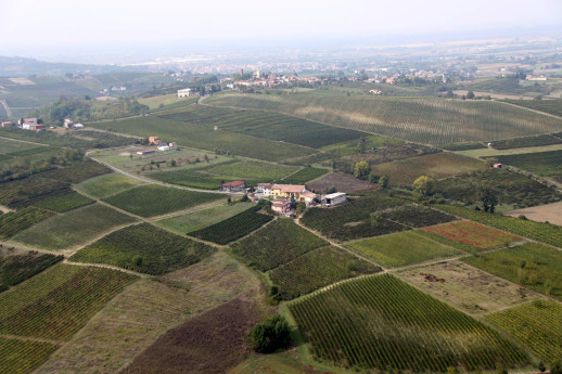 Escursione in notturna e apericena in vigna
