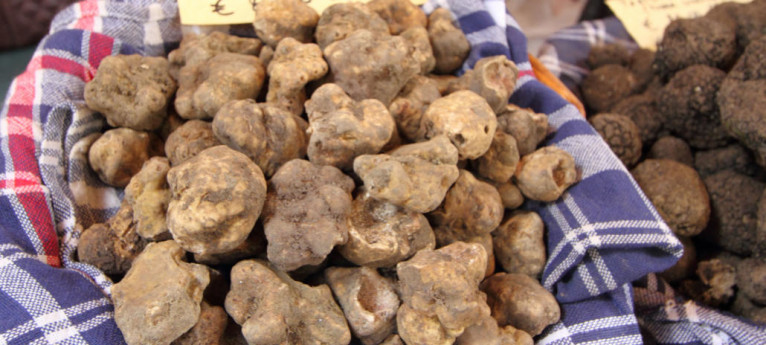 Fiera del Tartufo e del Miele