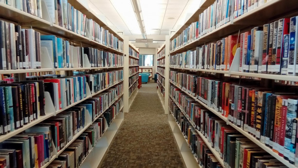 Divagazioni sui libri e il piacere della lettura Divagazioni sui libri e il piacere della lettura
