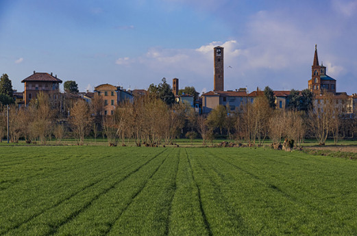 Sagra delle radici Sagra delle radici