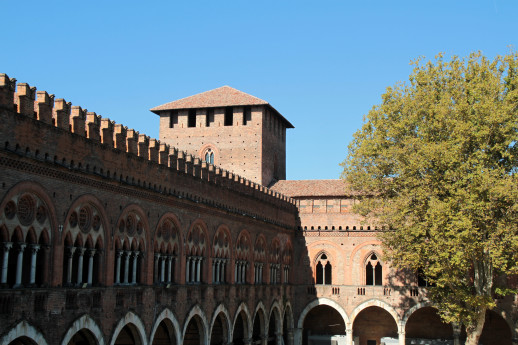 Domenica al Museo a Pavia Domenica al Museo a Pavia