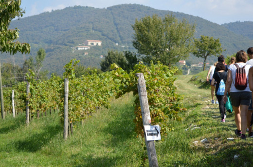 Magnalonga di Franciacorta Magnalonga di Franciacorta