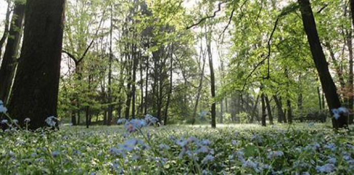 #FioritureinReggia: Instagram photo contest #FioritureinReggia: Instagram photo contest