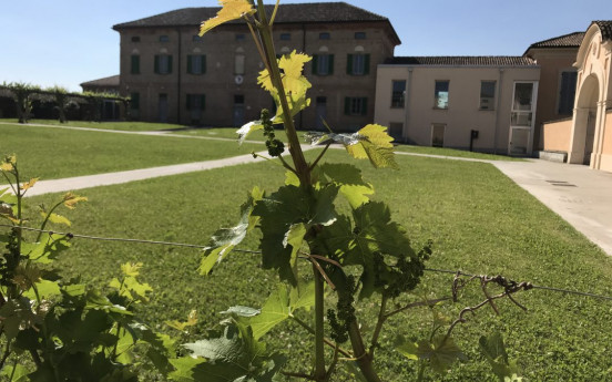 Wine trekking delle ville Torrazzesi Wine trekking delle ville Torrazzesi