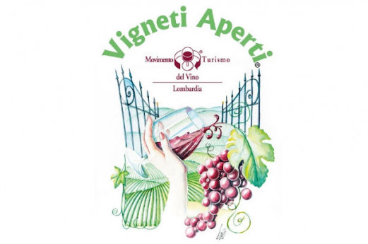 Vigneti Aperti Vigneti Aperti