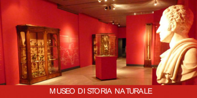 Dal territorio al museo - un PO di natura: visite guidate al Museo di Storia Naturale Dal territorio al museo - un PO di natura: visite guidate al Museo di Storia Naturale