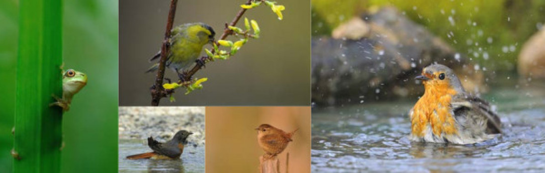Dal museo al territorio - un PO di natura lungo il fiume: visite guidate lungo il fiume Dal museo al territorio - un PO di natura lungo il fiume: visite guidate lungo il fiume