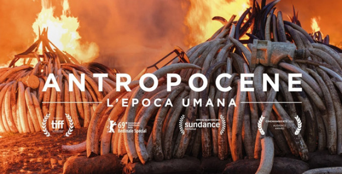 Antropocene Antropocene