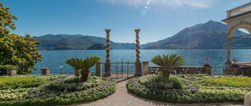 Mostra: fiori nel vento Mostra: fiori nel vento