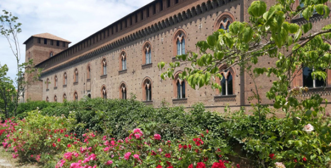 Musei Civici di Pavia, novità da settembre Musei Civici di Pavia, novità da settembre