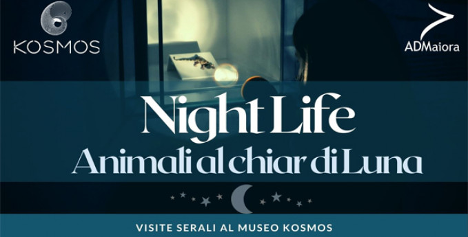 NIGHTLIFE - Animali al chiar di luna NIGHTLIFE - Animali al chiar di luna