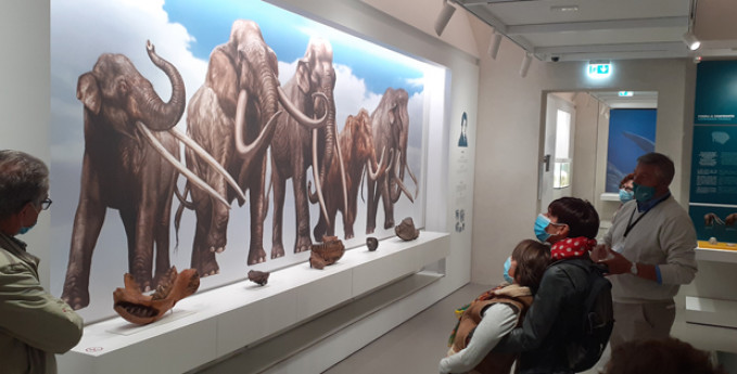 A Kosmos visite guidate con i curatori A Kosmos visite guidate con i curatori