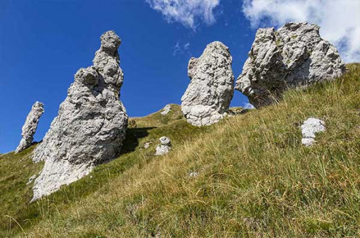 In alta Valsassina sulle tracce degli animali selvatici In alta Valsassina sulle tracce degli animali selvatici