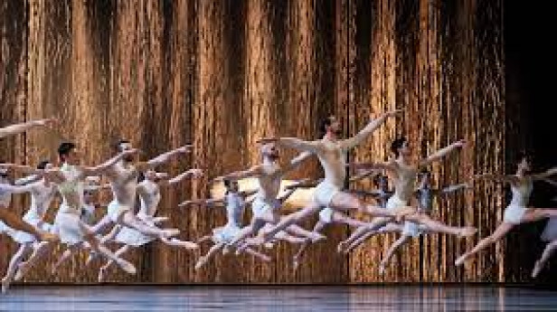 Le Lac des Cygnes - Ballet de l'Opéra National du Rhin Le Lac des Cygnes - Ballet de l'Opéra National du Rhin