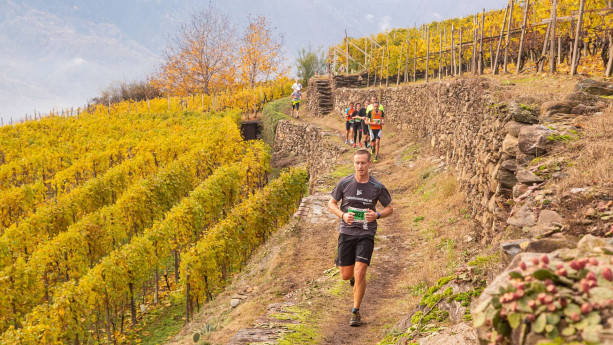 Valtellina Wine Trail - Gare Valtellina Wine Trail - Gare