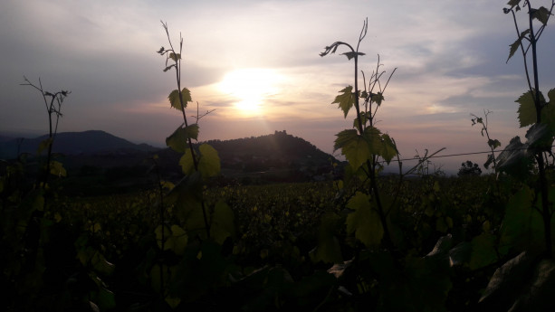 Tramonto DiVino Tramonto DiVino