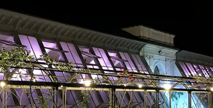 Di notte all'Orto Botanico di Pavia Di notte all'Orto Botanico di Pavia