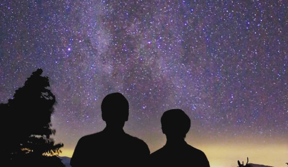 Calici di Stelle Calici di Stelle