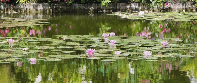 Monet sbarca a Palazzo Reale Monet sbarca a Palazzo Reale