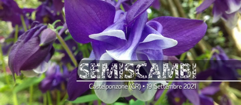 SeMiScambi SeMiScambi