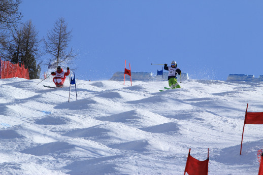 Coppa del mondo di Moguls Coppa del mondo di Moguls