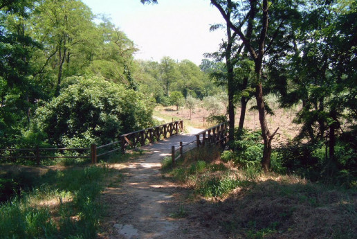 Passeggiate naturalistiche al Parco della Vernavola Passeggiate naturalistiche al Parco della Vernavola