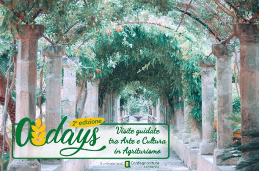 a-Days: Arte e Cultura in Agriturismo a-Days: Arte e Cultura in Agriturismo