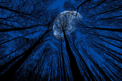 Quando la luna gioca a nascondino Quando la luna gioca a nascondino