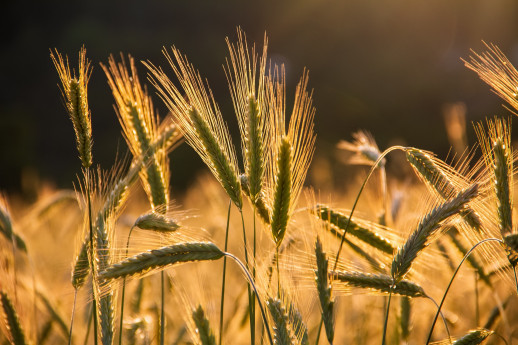 Cucina e Alimentazione nel 1700