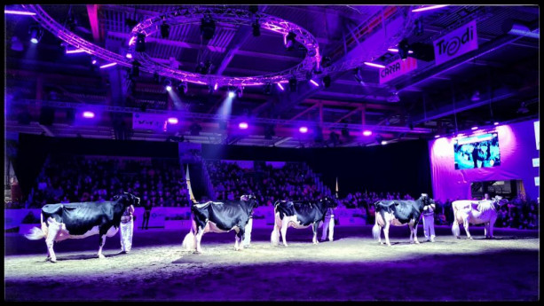 Fiere Zootecniche Internazionali