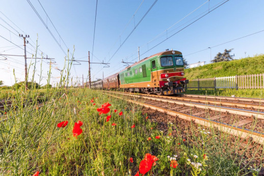 Lomellina Express Lomellina Express