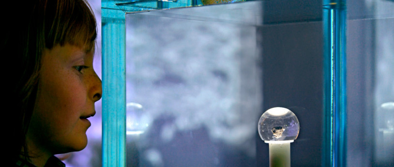 Campus estivi al Museo Nazionale della Scienza e della Tecnologia Leonardo da Vinci