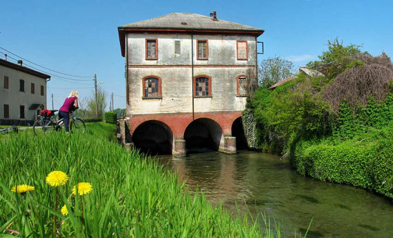 Acqua e biodiversità