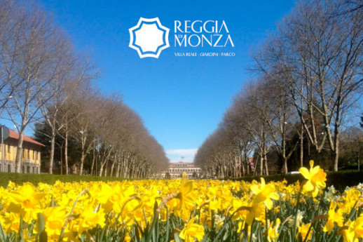 Villa Reale di Monza: aperture estive