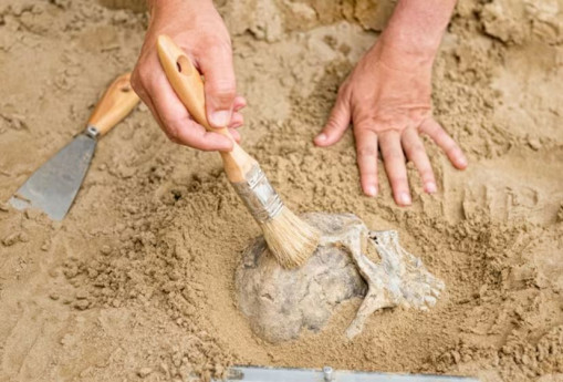 Laboratorio &ldquo;Come piccoli Paleontologi&rdquo;