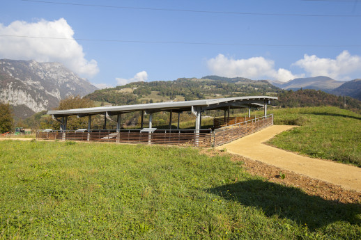 Parole D'Autore