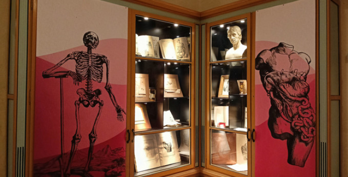 Giornate Europee del Patrimonio al Museo per la Storia dell'Università di Pavia