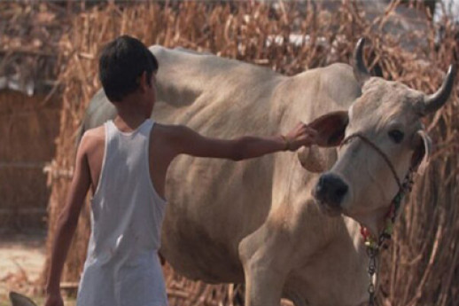Il vegetariano