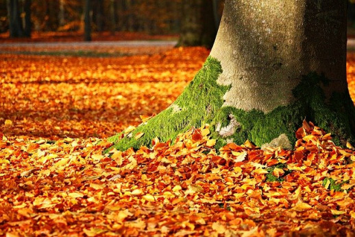 Note d'Autunno Erbesi 2023