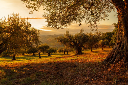 Viaggiare liberi - Rassegna di incontri dedicati ai viaggi Viaggiare liberi - Rassegna di incontri dedicati ai viaggi