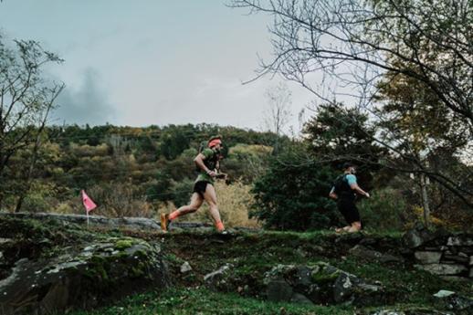 Capo Di Ponte, Parco di Naquane (Ph: Valentina Celeste)