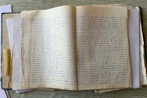 Alfonso Cortesi. Storia di un corniciaio 
