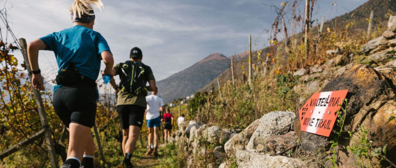 Sondrio città del vino - Wine trail family