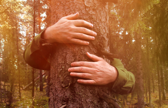 Forest bathing nei boschi di San Genesio