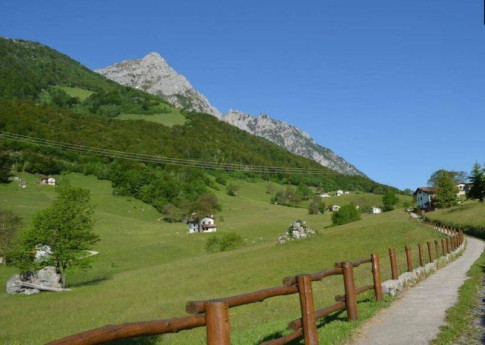 Piante selvatiche e sapori di montagna